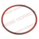 Garnitura boiler expresor RANCILIO SILVIA