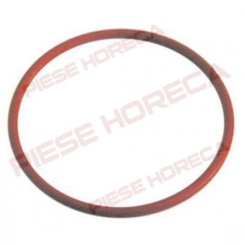 Garnitura boiler expresor RANCILIO SILVIA