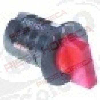 Intrerupator, 2 poluri