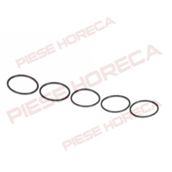 Oring pompa spalare, golire detergent, evacuare cuptor Rational modelele iCP…