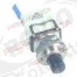 Intrerupator cu Buton