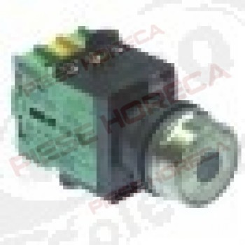 Intrerupator cu buton