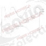 Rezistenta 2000 W, 220 V