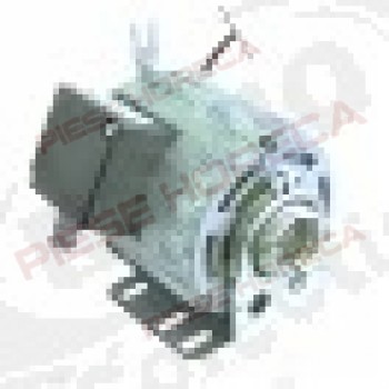 Motor pompa 11002755, 165 W, 230 V,Astoria
