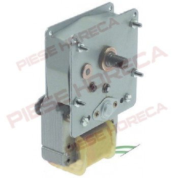 Motoreductor rotisor HAKA