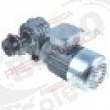 Motoreductor, tip 71E00147, 250 W