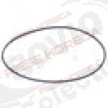 Garnitura capac pompa