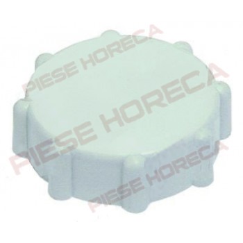 Capac container sare pentru masina de spalat vase Electrolux, Giga, Rancillio