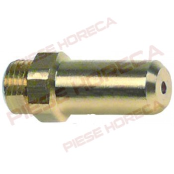 Duza pentru bain-marie, cuptor, friteuza, masina de facut paste Electrolux M10x1, ø 1,55mm L 30mm WS 12 