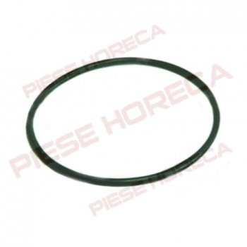Oring capac pompa ASKOLL tip M231
